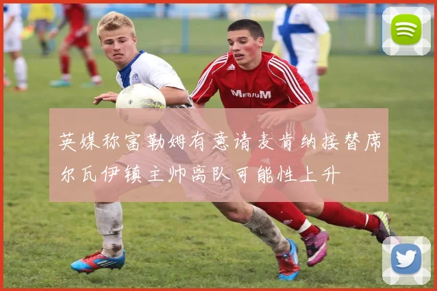 英媒称富勒姆有意请麦肯纳接替席尔瓦伊镇主帅离队可能性上升